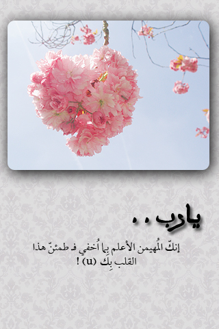  bntpal_1460335028_73