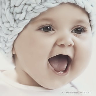  bntpal_1460335195_60