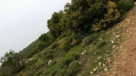 bntpal_1460526019_99