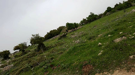 bntpal_1460526020_50