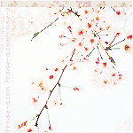  ♡ bntpal_1460565455_64