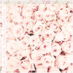  ♡ bntpal_1460565456_61