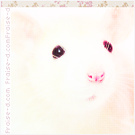 ♡ bntpal_1460565469_51