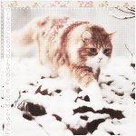  ♡ bntpal_1460565477_72