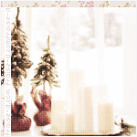  ♡ bntpal_1460565480_47