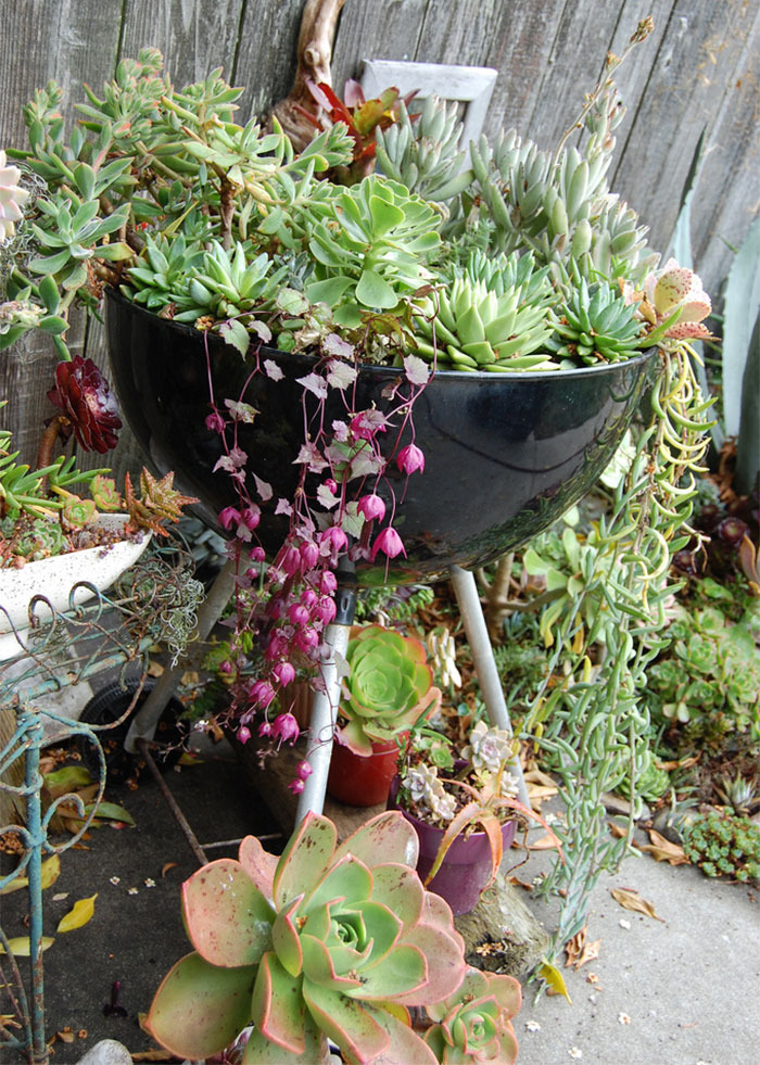  bntpal_1460644505_57