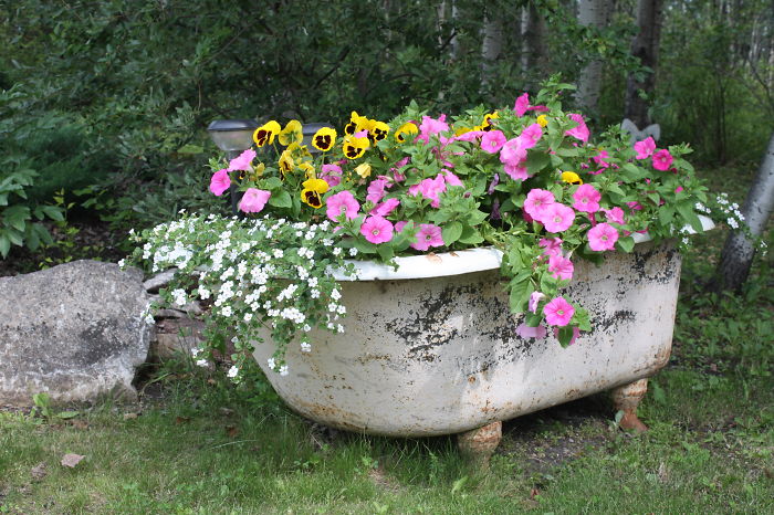  bntpal_1460644506_30