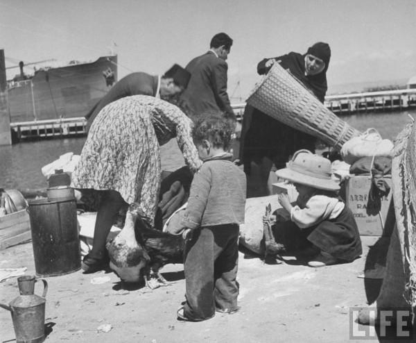 1948 bntpal_1460660016_88