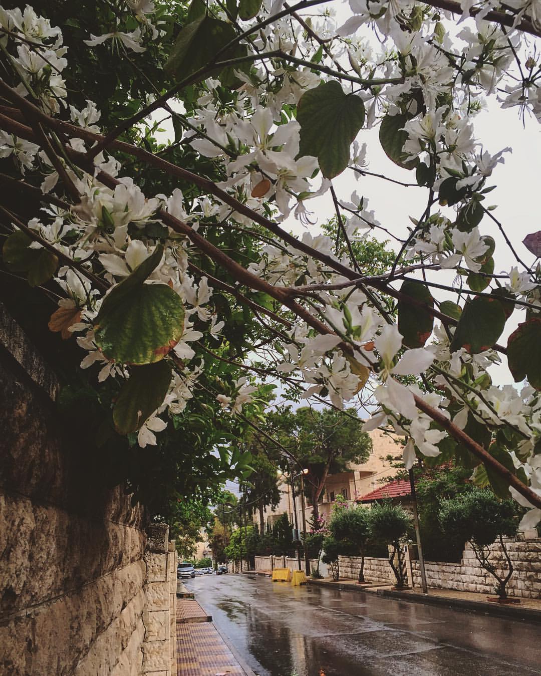 .. . bntpal_1460709113_24