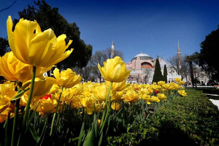 ""  bntpal_1460753885_40