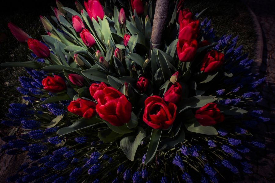 ""  bntpal_1460753887_55