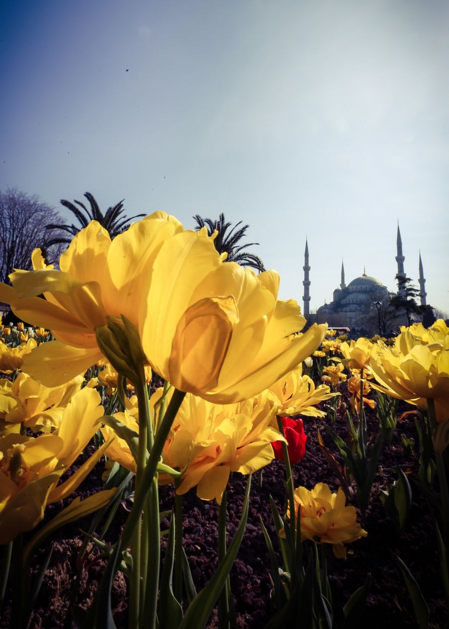 ""  bntpal_1460753891_13