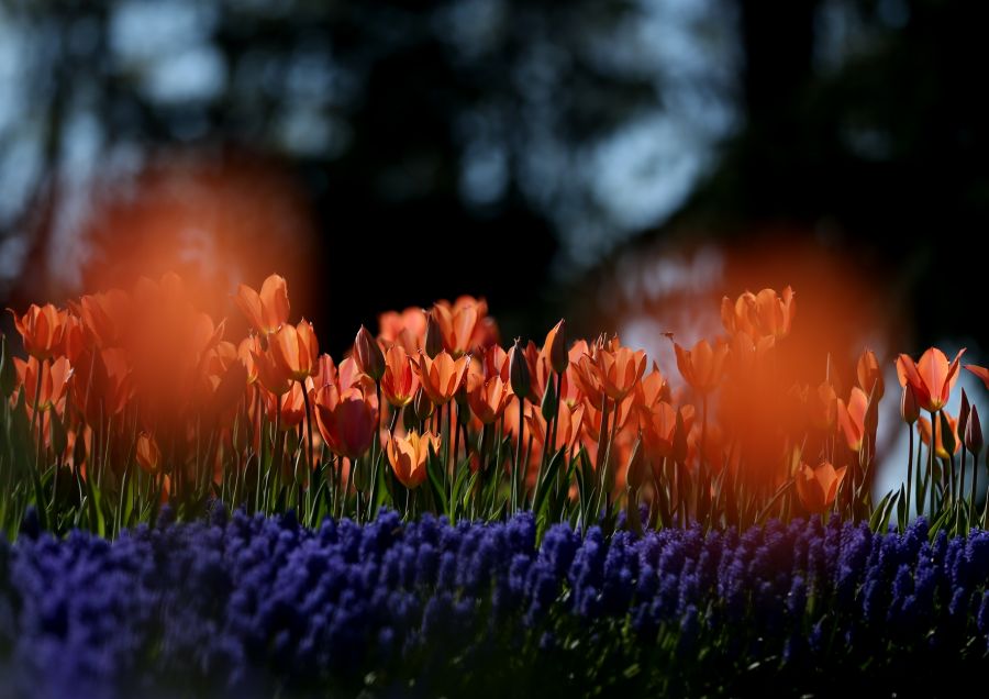 ""  bntpal_1460753894_92