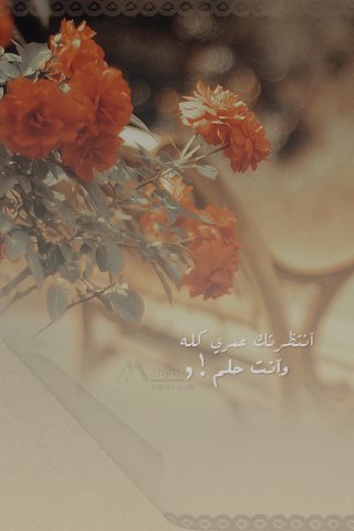 ... bntpal_1460795079_38