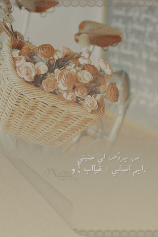... bntpal_1460795080_37