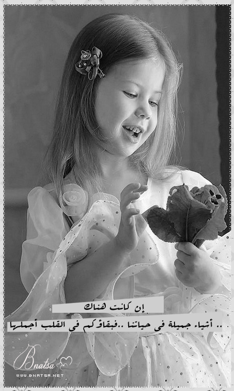  ...  bntpal_1460950689_16