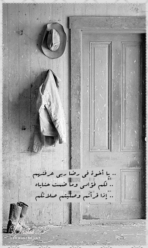  ...  bntpal_1460950689_35
