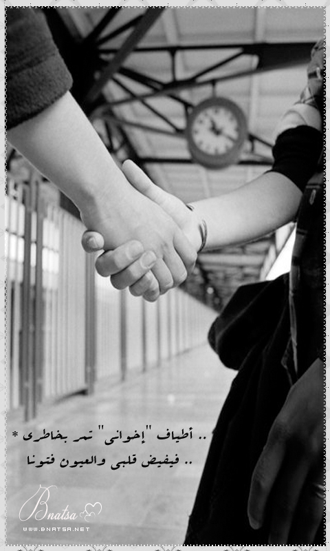  ...  bntpal_1460950691_93