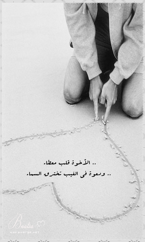  ...  bntpal_1460950692_93