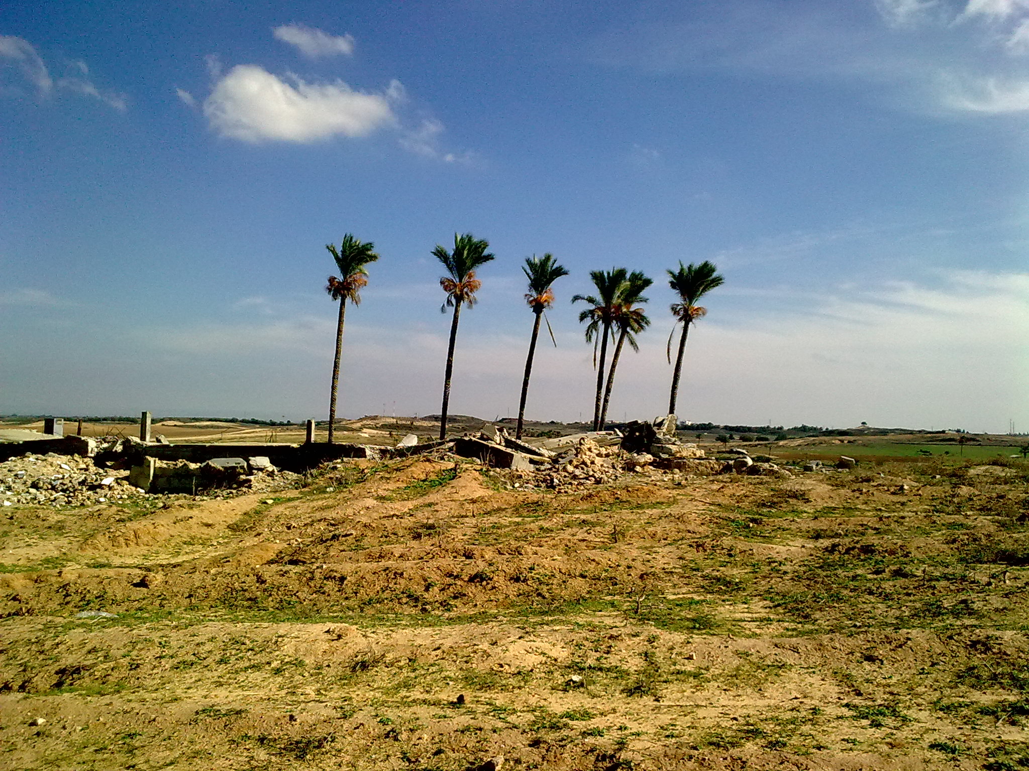  bntpal_1461054437_48
