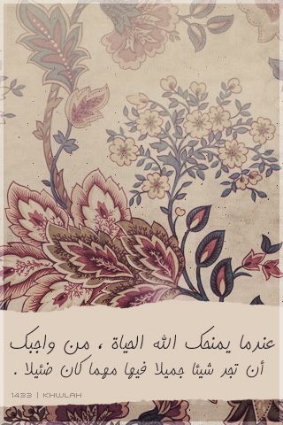 bntpal_1461161377_52
