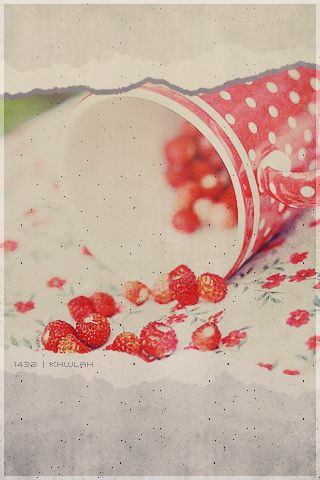 bntpal_1461161378_84