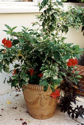  bntpal_1461161849_23