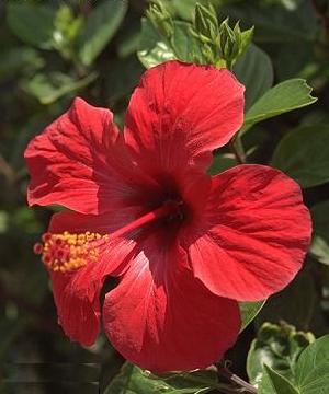  bntpal_1461161850_40