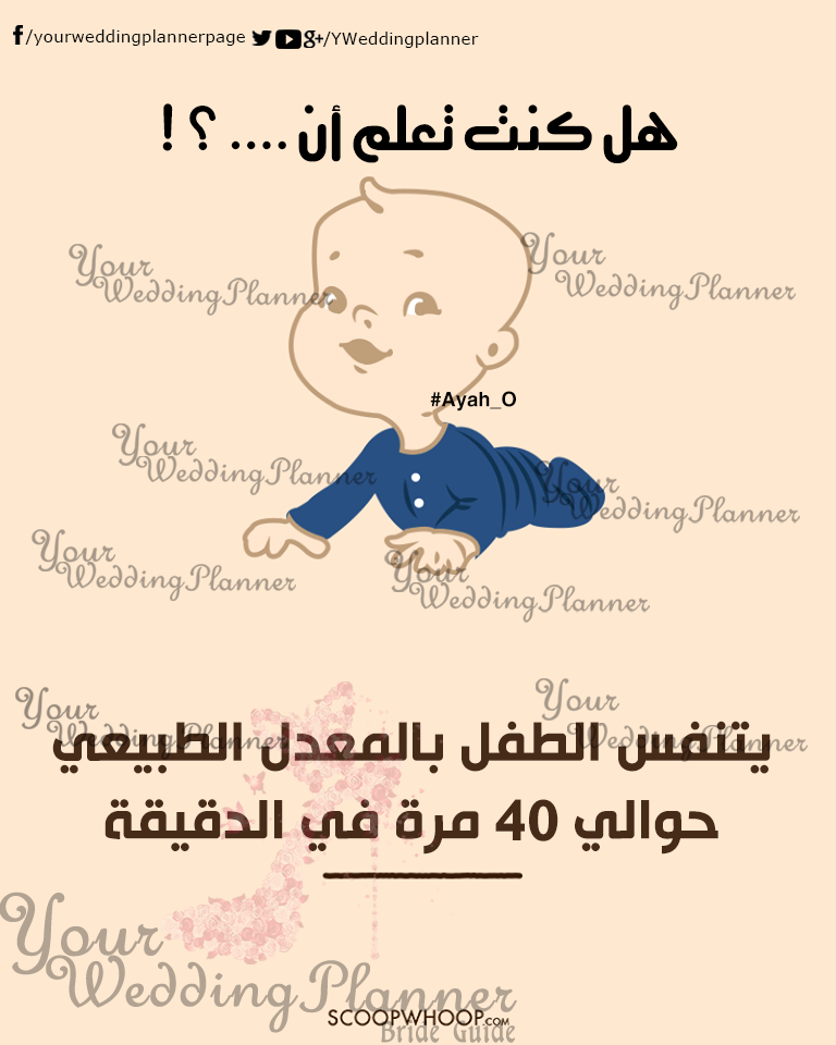 bntpal_1461165394_28