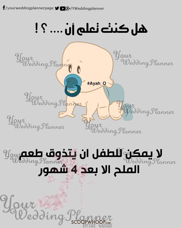 bntpal_1461165394_39