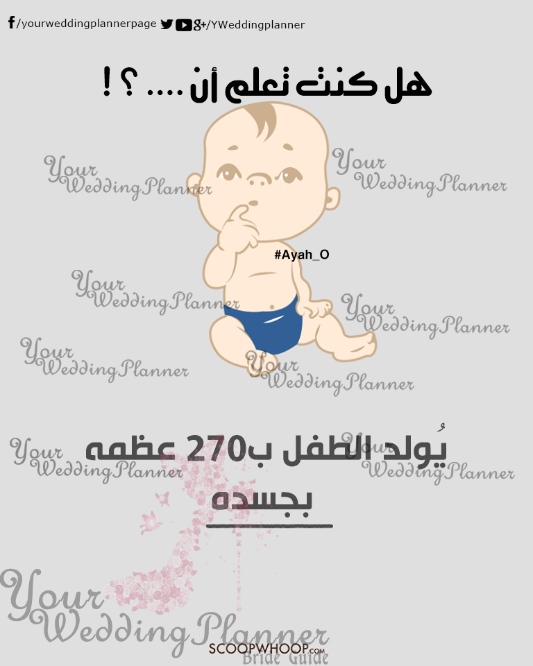 bntpal_1461165394_49