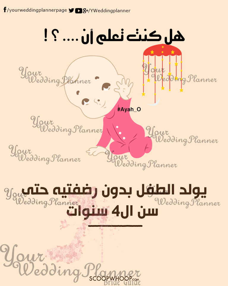 bntpal_1461165395_11