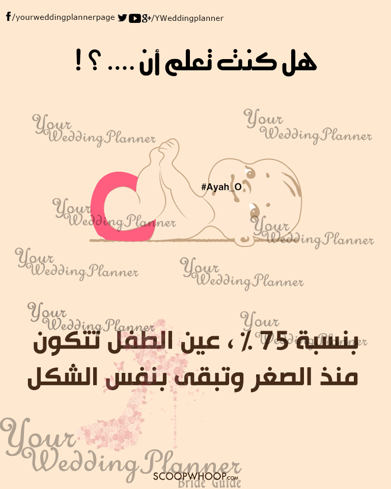 bntpal_1461165395_16