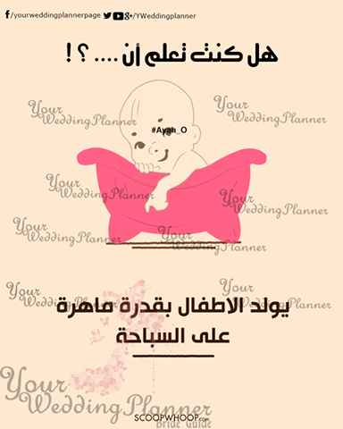 bntpal_1461165395_41