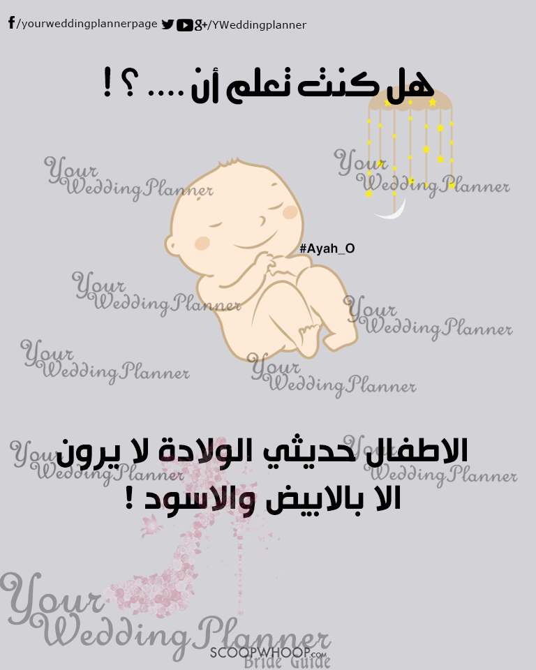 bntpal_1461165395_55