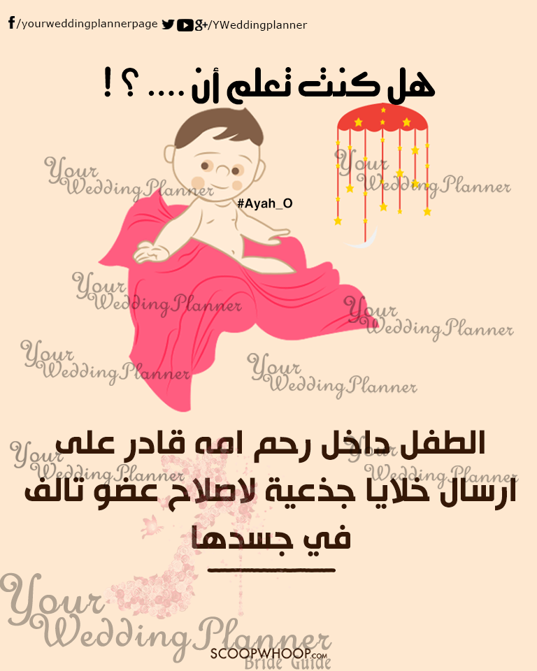 bntpal_1461165395_58