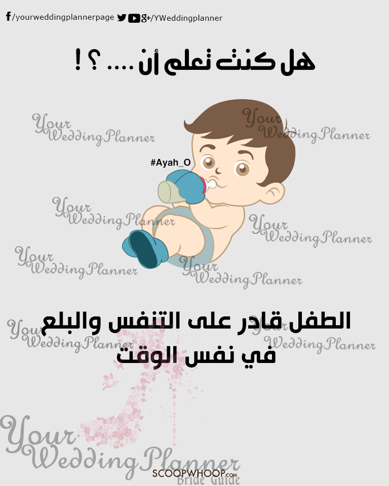 bntpal_1461165395_59