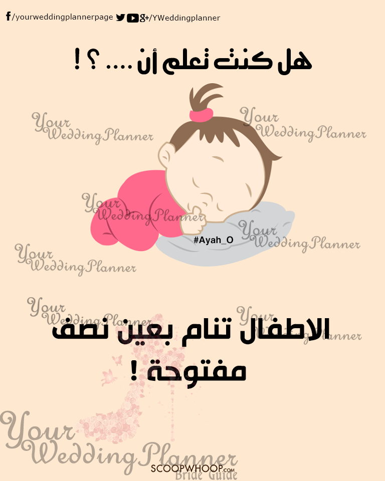 bntpal_1461165395_62