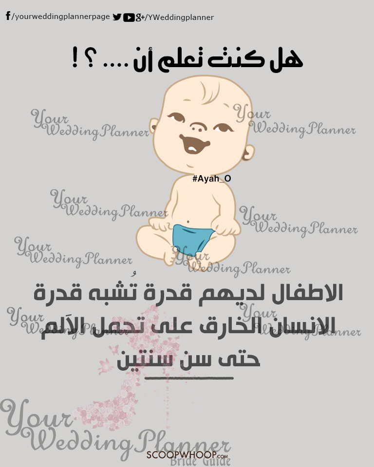bntpal_1461165396_57