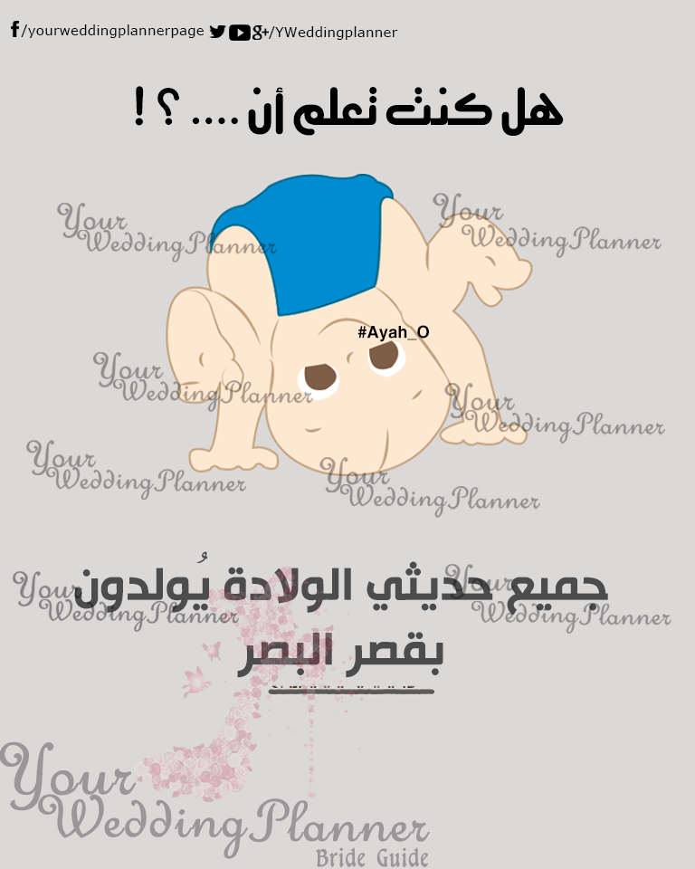 bntpal_1461165396_86
