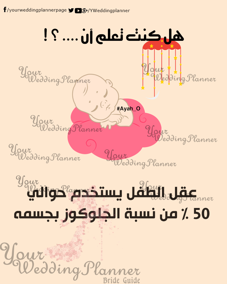 bntpal_1461165396_98