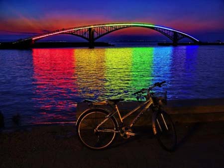  bntpal_1461179477_15