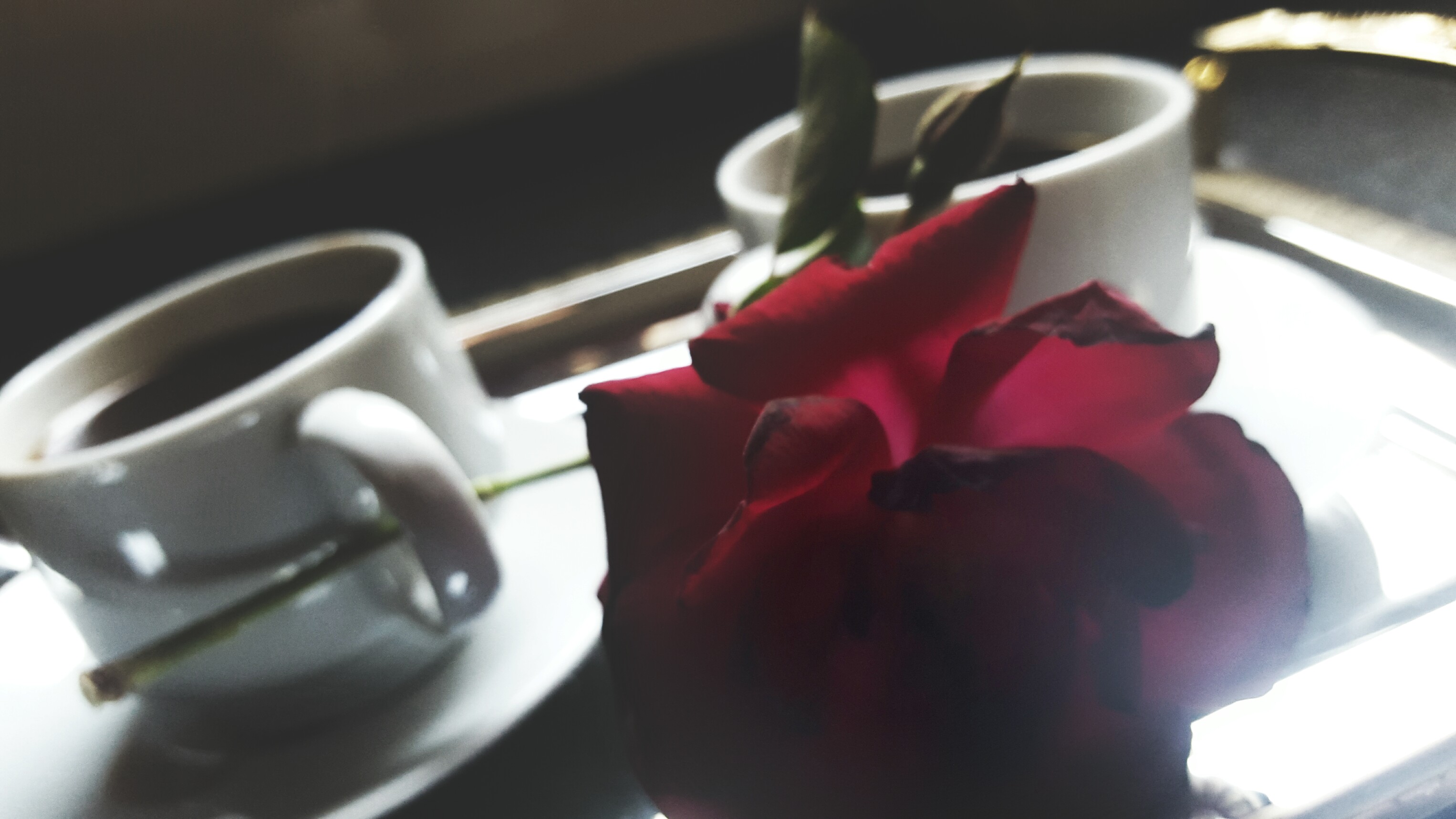 ٓٓ ٓ  bntpal_1461225579_90