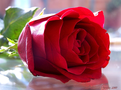 bntpal_1461255734_54