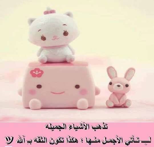 bntpal_1461255735_26