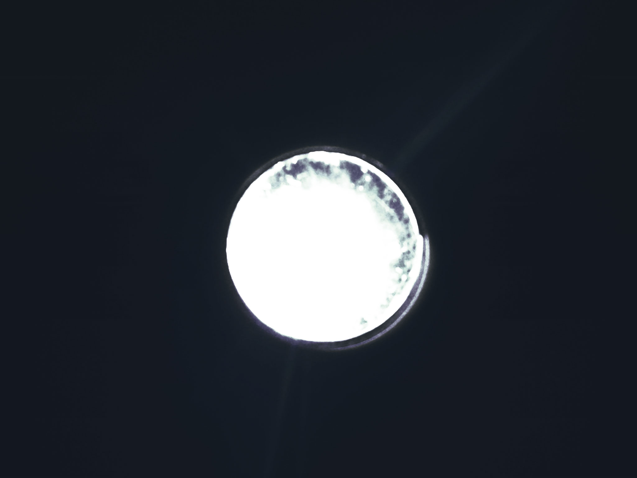 bntpal_1461460004_57