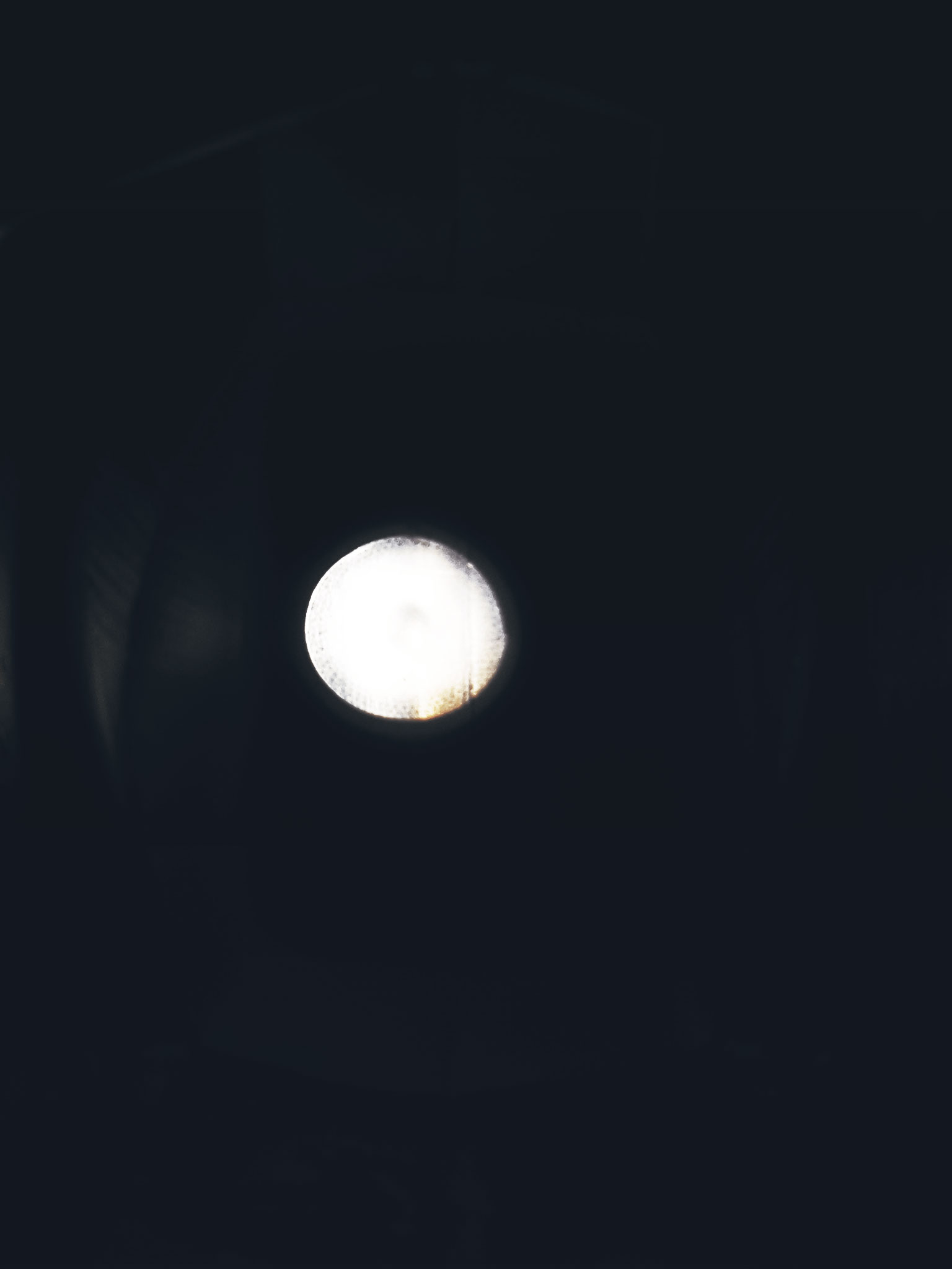 bntpal_1461460005_71