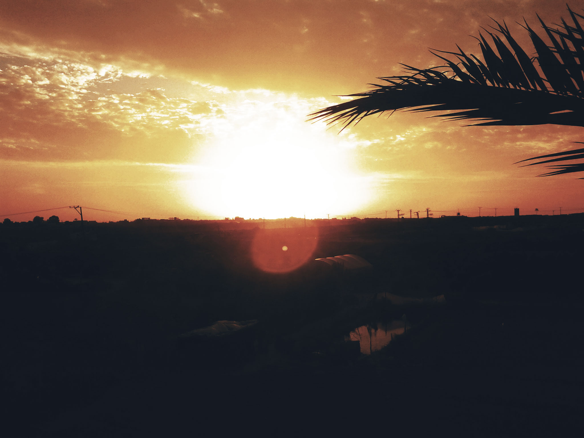bntpal_1461460006_14