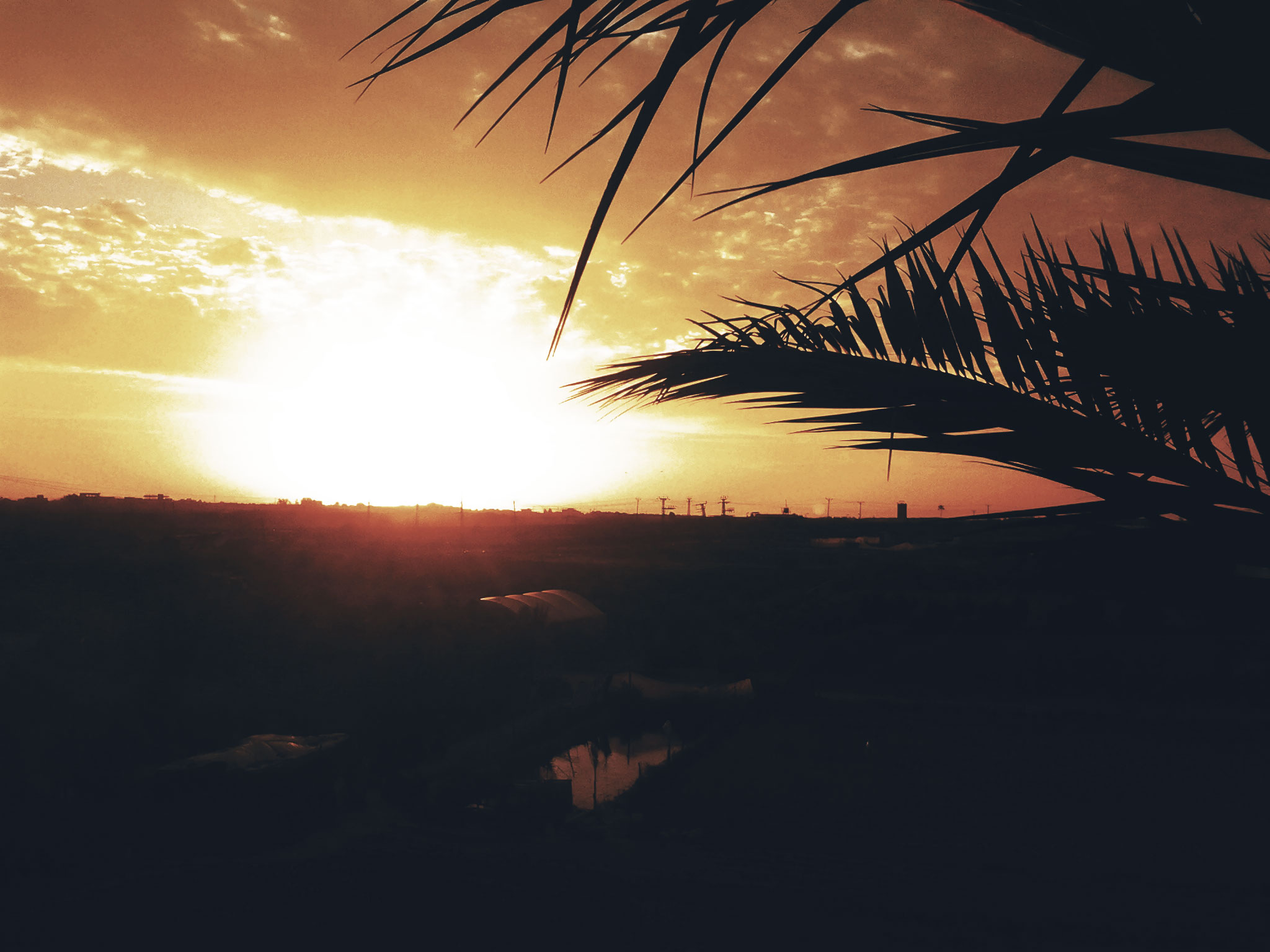 bntpal_1461460007_96