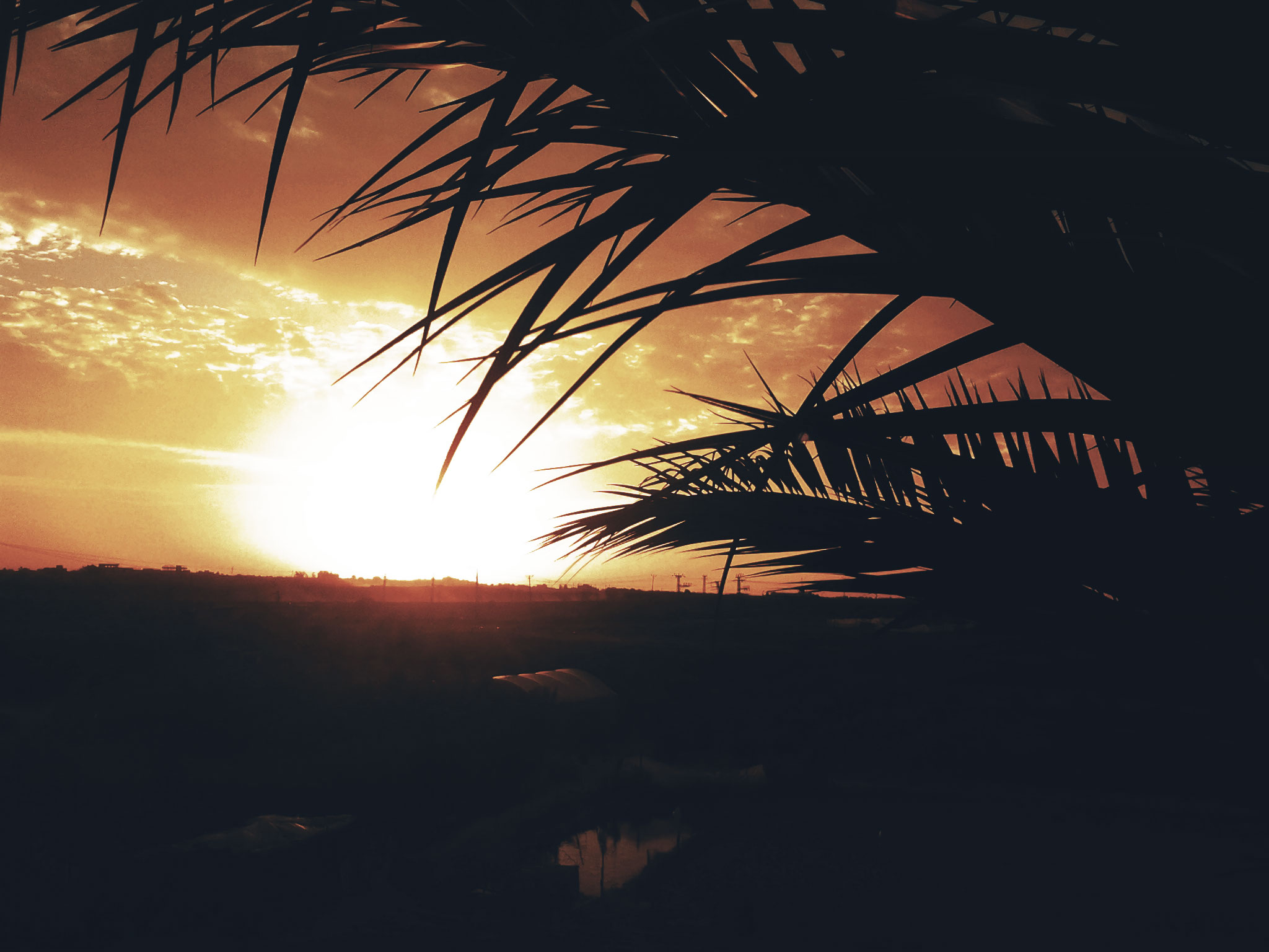bntpal_1461460008_26